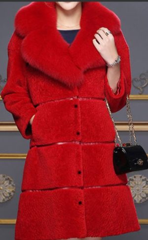 RED COAT 2